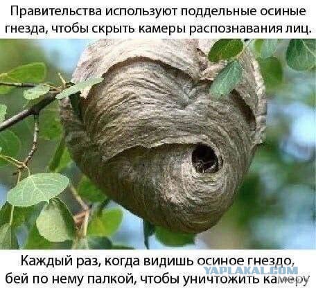 Картинки аморальные и всякие разные - 29