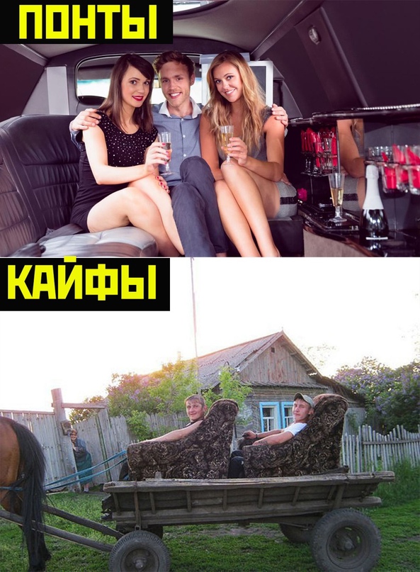 Картинки и мемы, всем хороших выходных