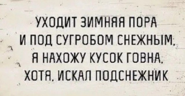 Весёлый полтишок 08.08.22
