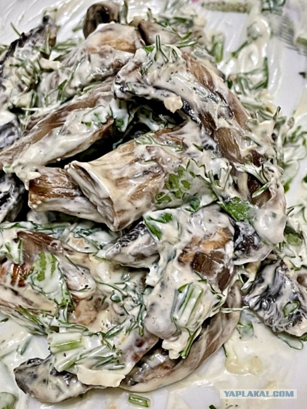 Электрогриль. Мясо. Купаты, и … вообще.  Предлагаю устроить обмен опытом и технологиями.