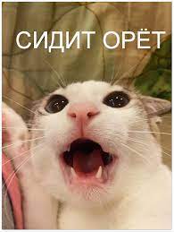 Психолог раскрыла, в каком возрасте мужчине уже не нужна женщина