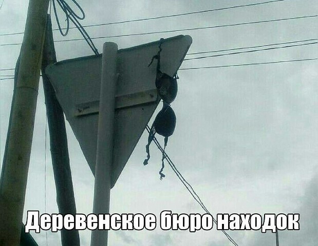 То, что видели мои друзья. Отправленные картинки за несколько лет