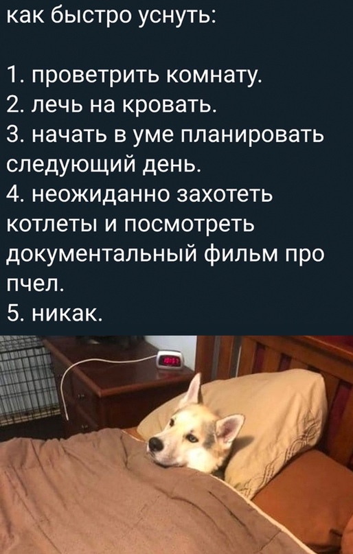 Весёлый полтишок 30.03.23