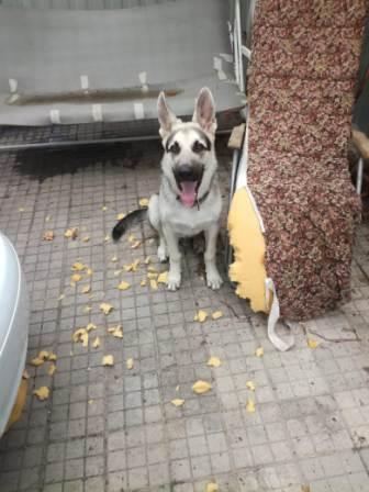 Подборка интересных и прикольных фото из Сети 01.04.23