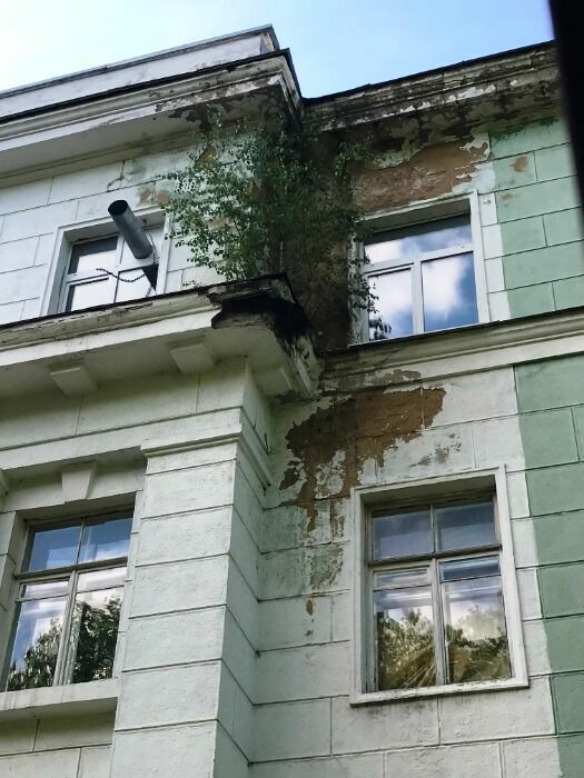 Анализ трёх лет ковидобесия