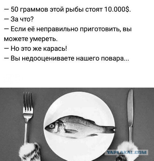 "Санта-Барбара" какая-то. Мужчина 22 года изменял жене с тёщей и оказался отцом братьев-близнецов супруги