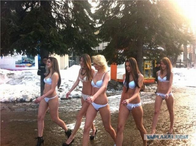 Тюменский муфтий предостерег девушек