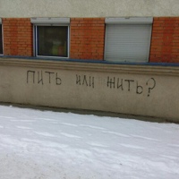 Мой запой