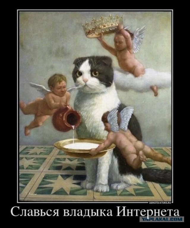 Им уже 6 часов