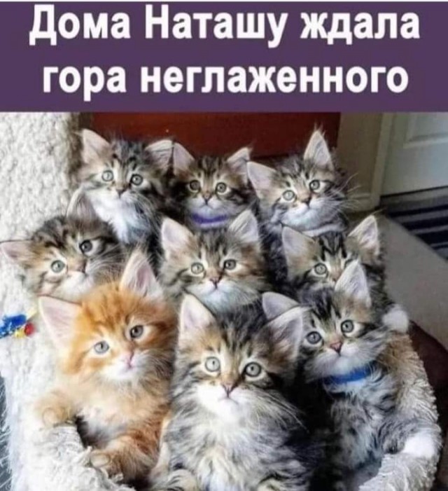 Разное
