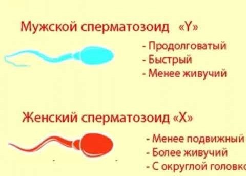 гидазепама сперматозоиды » Смотреть секс порно фото картинки онлайн бесплатно в HD качестве