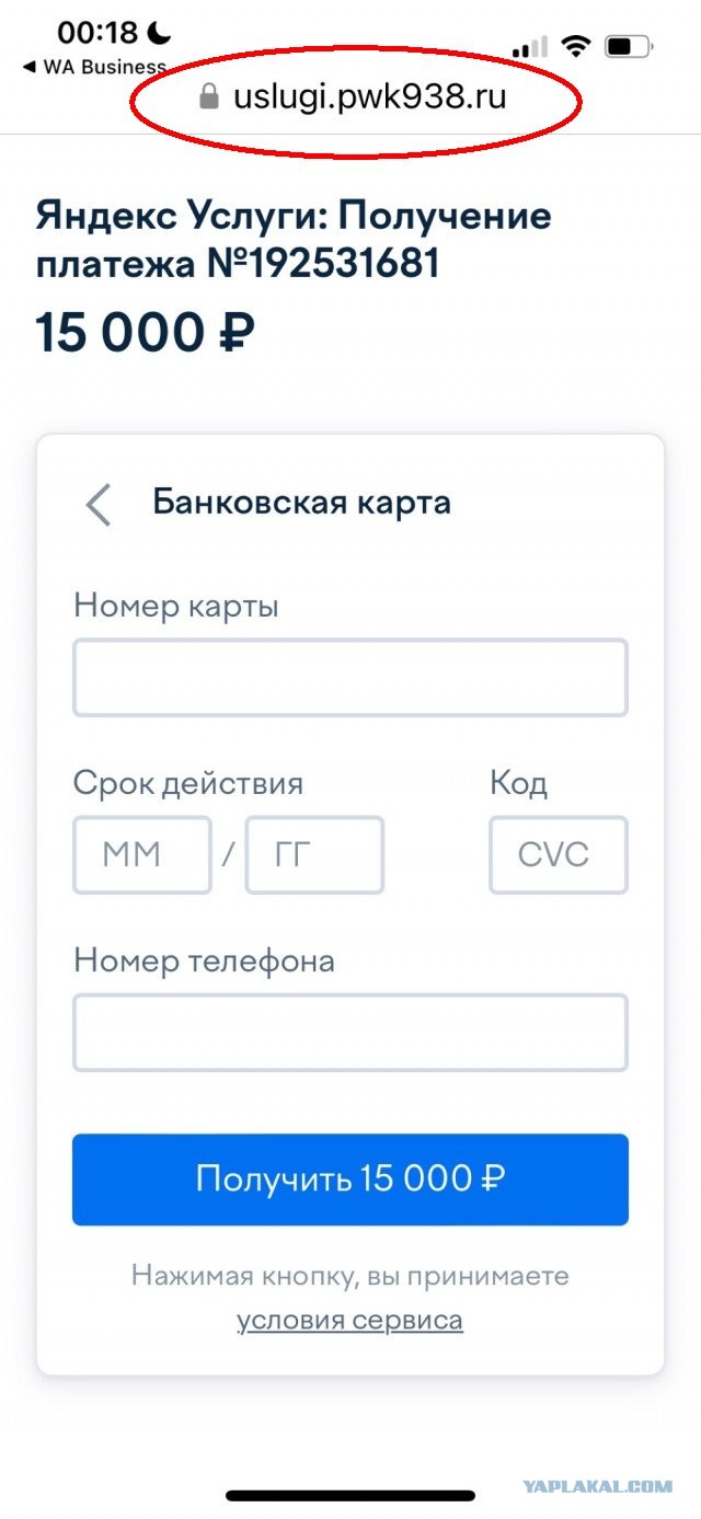 Развели, так развели. Выложила все, даже CVV