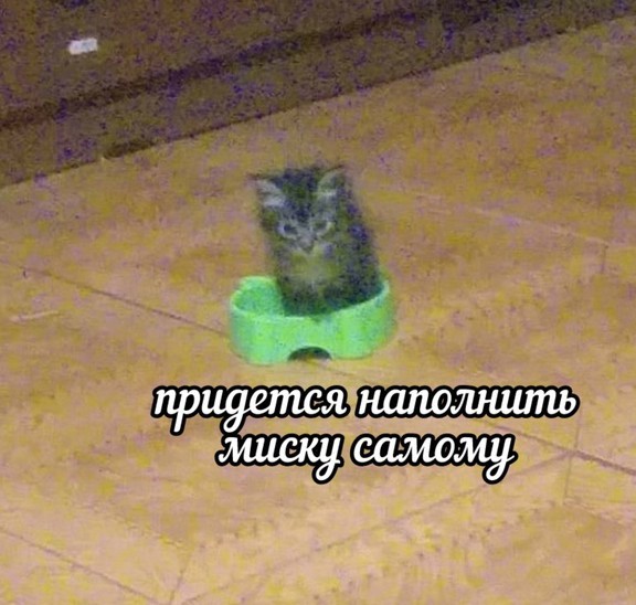 Всего понемногу. От 26.07.24
