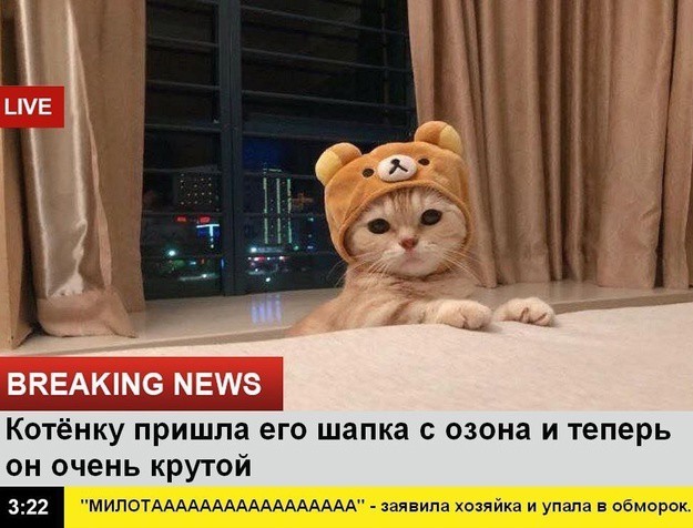 Всего понемногу. От 02.08.24