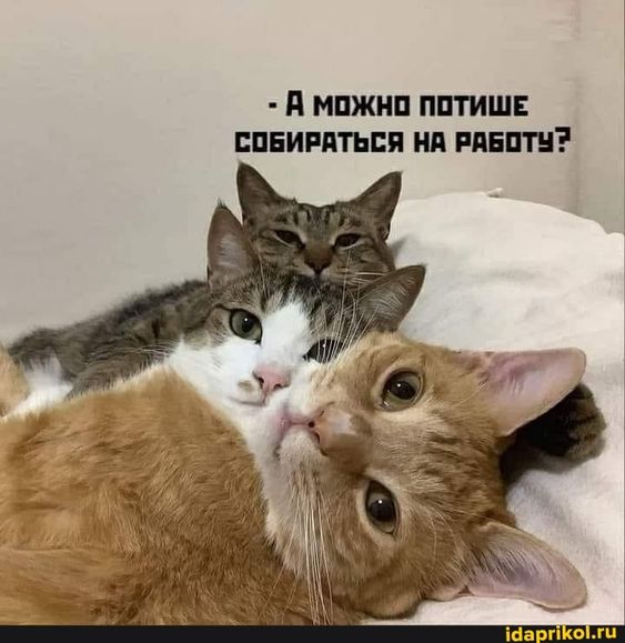 Как вам такое поведение... может я зря нагнетаю?