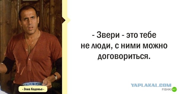 Ищу помощи у ЯПа