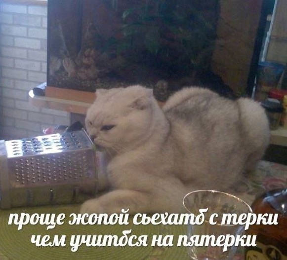 Всего понемногу. От 27.09.24