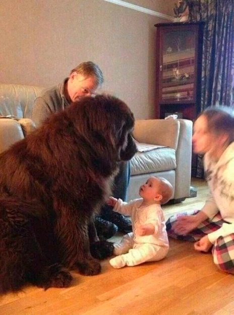 Картинки разные с надписями и без