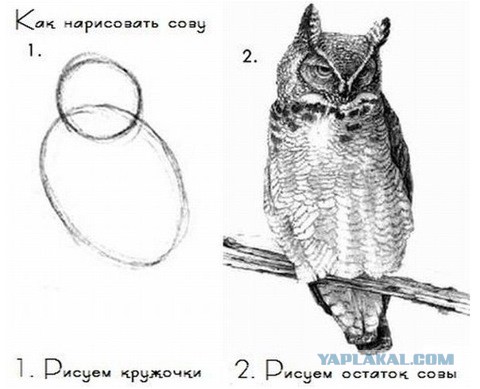 Принцип работы Солнца
