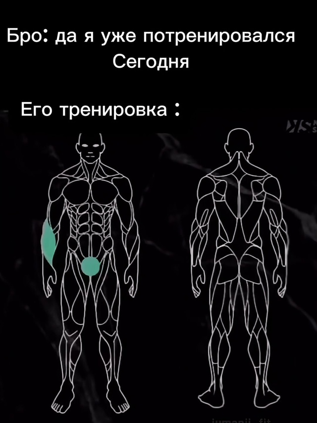 Весёлый полтишок 06.03.2025