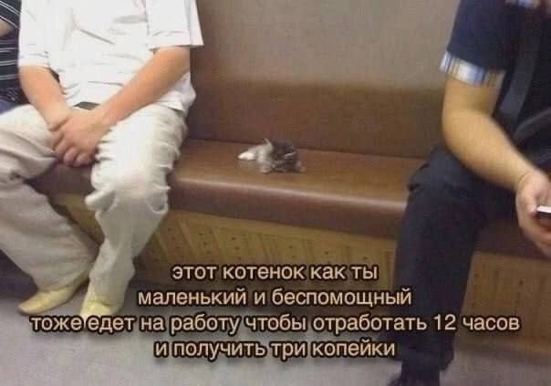 Картинки для деградации 42 (разной степени свежести)