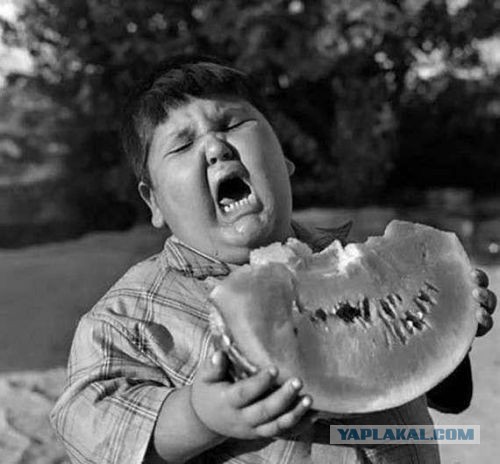 Арбуз яп взял