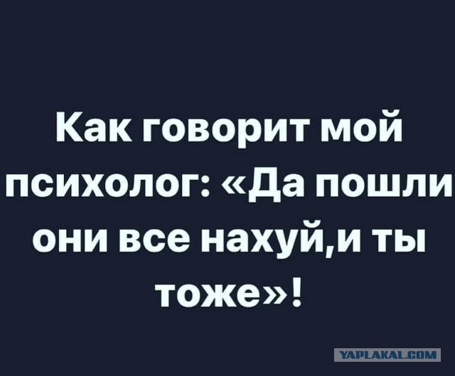 Картиночки, баянчики 10 декабря