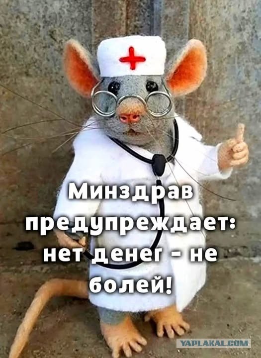 Веселое настроение в картинках (12.12.2025)