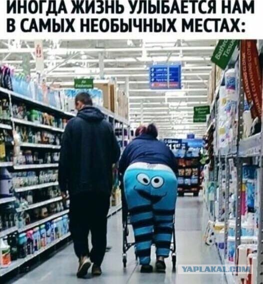 Так себе картинки 29.12.25