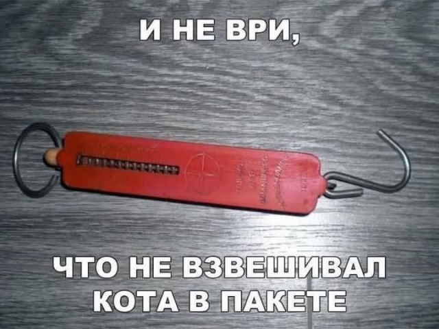 Картинки для деградации 130 (разной степени свежести)