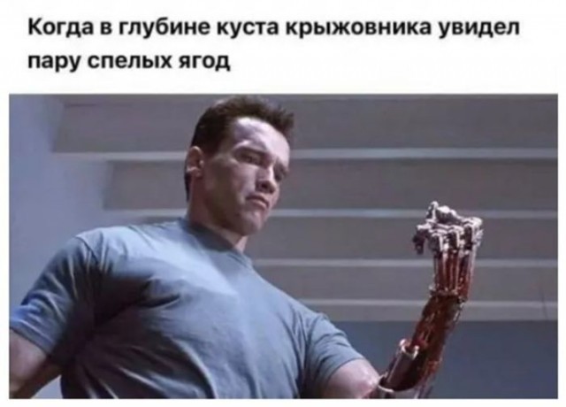 Картинки для деградации 221 (разной степени свежести)