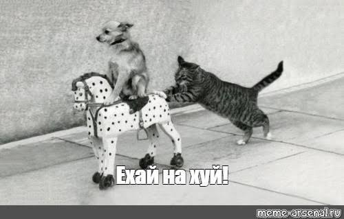 Ща я вас научу