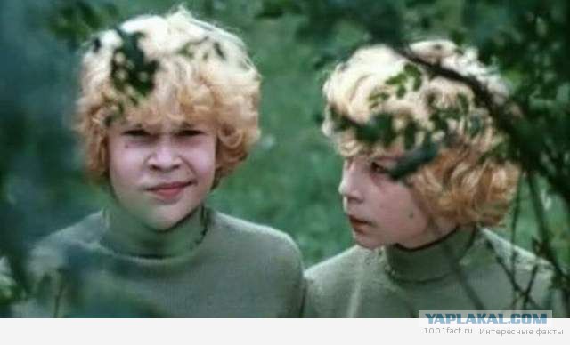 Интересные факты