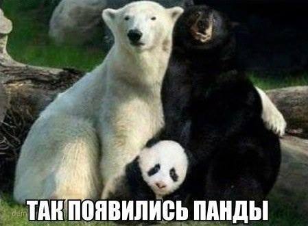 Демотиваторы.
