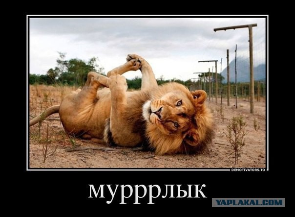 Плюшевый нянь