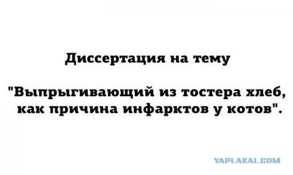 Немного позитива