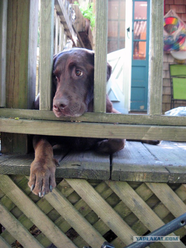 Деревенская Америка