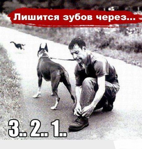 Комменты из соцсетей