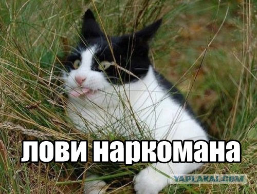 Глотает и выплёвывает