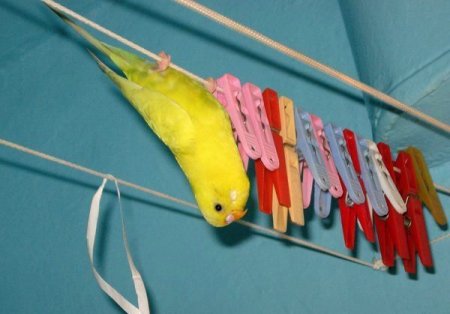 Поднимаем настроение