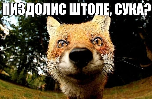 Тирольский секрет