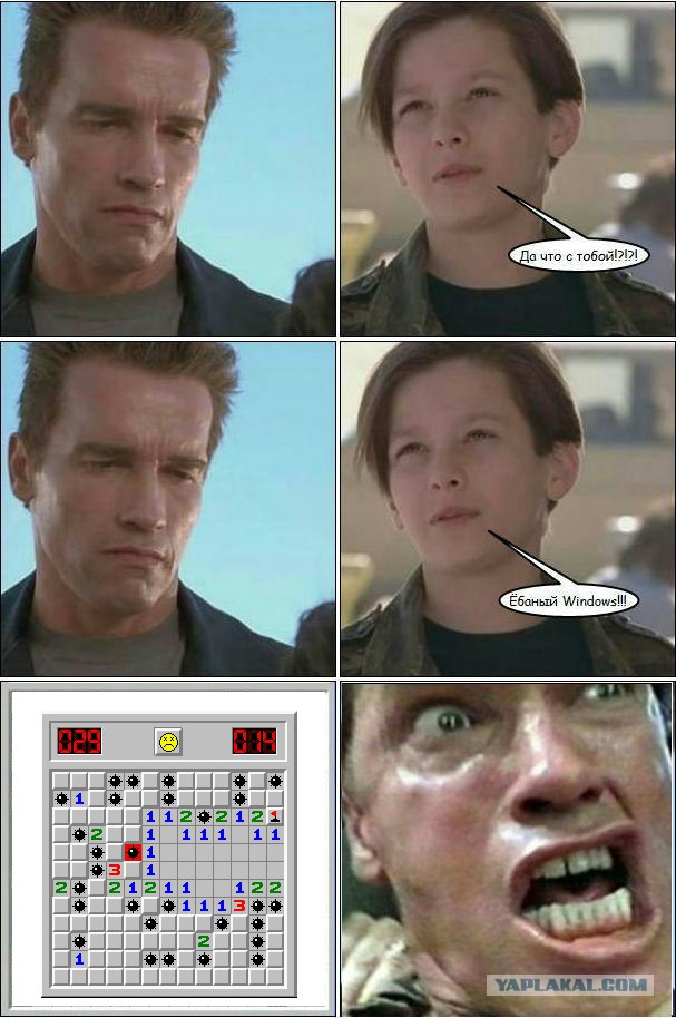 Windows