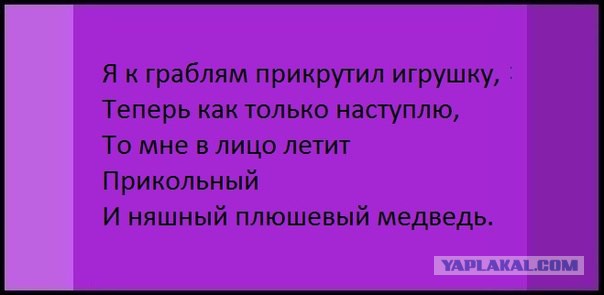 Немного картинок и юмора