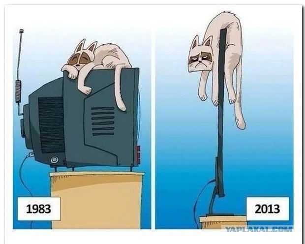36 тысяч коту под хвост....