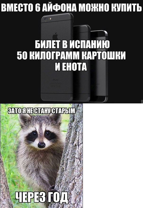 Если стало грустно - купи себе пакет енотов