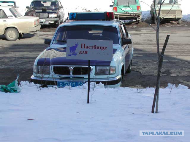 Автоюмор, смекалка, но чаще абсурд