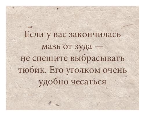 Весёлые картинки в чёрной рамке