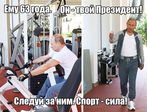 Пучок смешных картинок