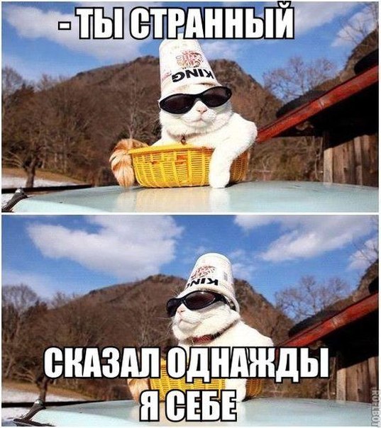 Картинки разные