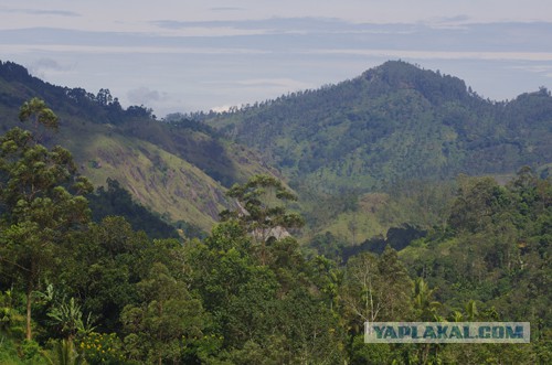 Самостоятельное путешествие в Шри-Ланку